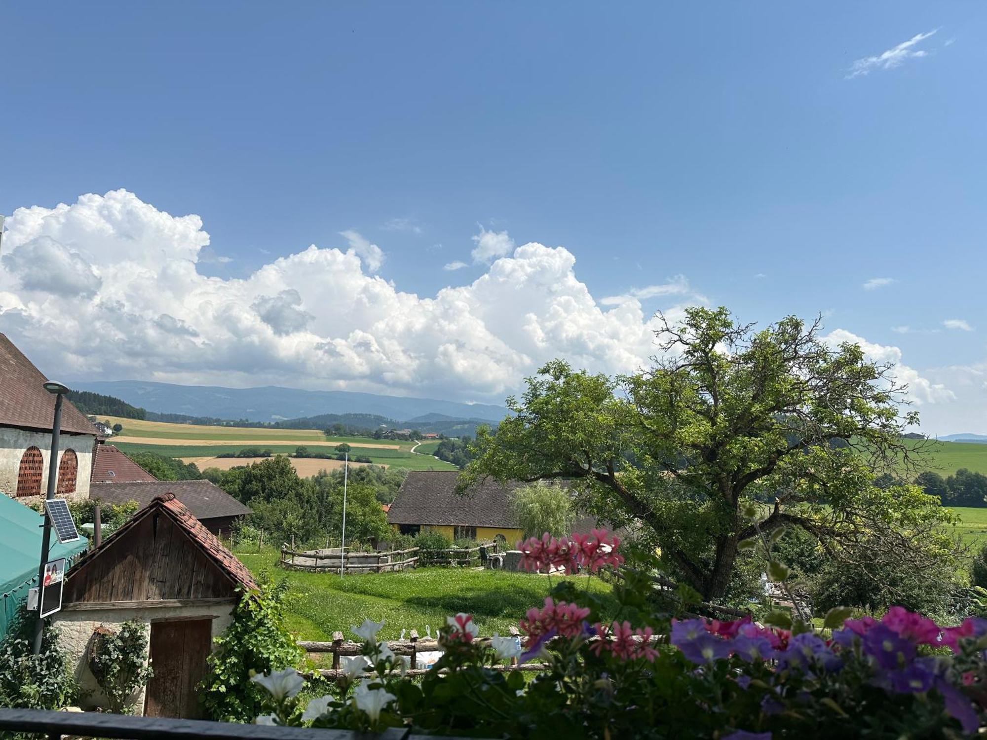 Gasthof Winkelwirt Althofen  Exterior photo
